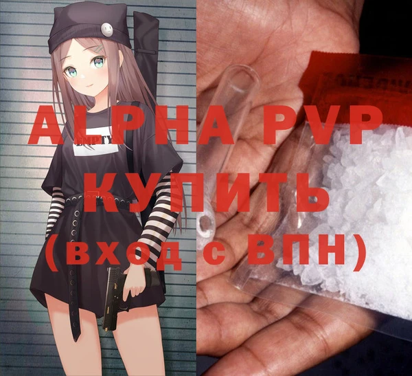 стаф Алексин