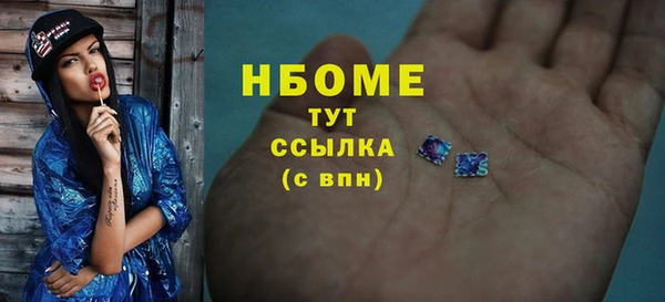 стаф Алексин