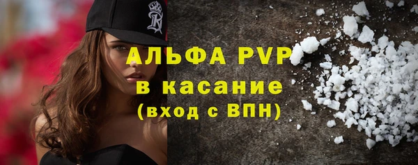 стаф Алексин