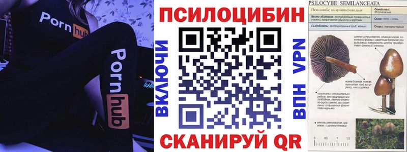 Псилоцибиновые грибы прущие грибы  наркошоп  Чернушка 